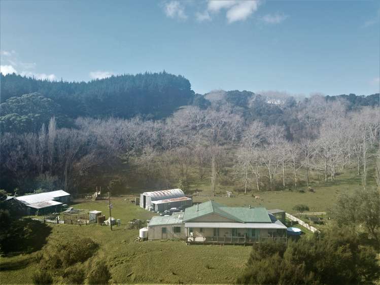 424 Paranui-Toatoa Road Taipa_18