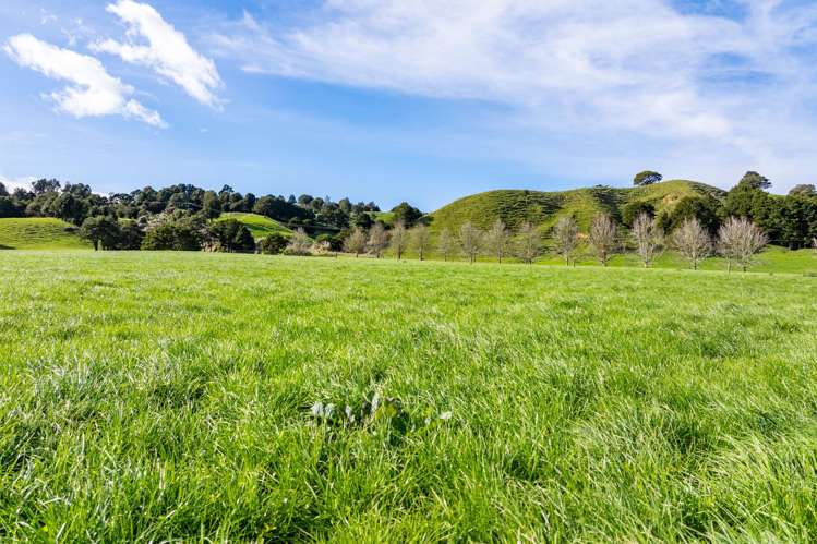 412 Pukehuia Road Tangiteroria_24