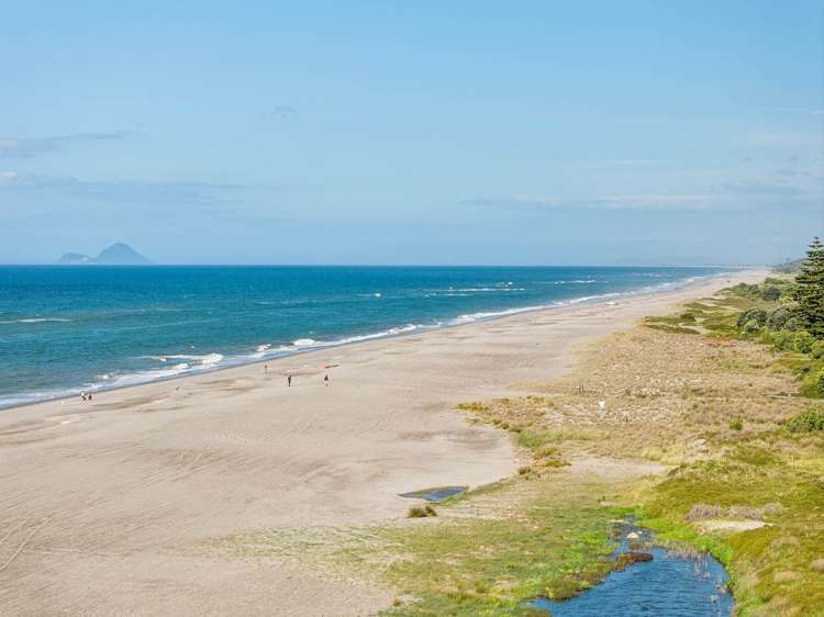 513A Herepuru Road Matata_23