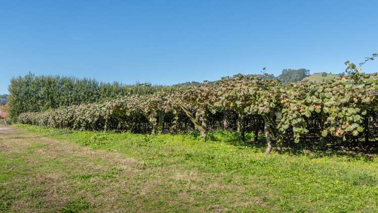 33 I'Anson Road Wairoa_8