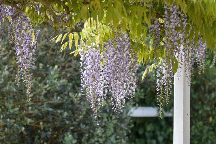 1315 Oropi Road Oropi_17