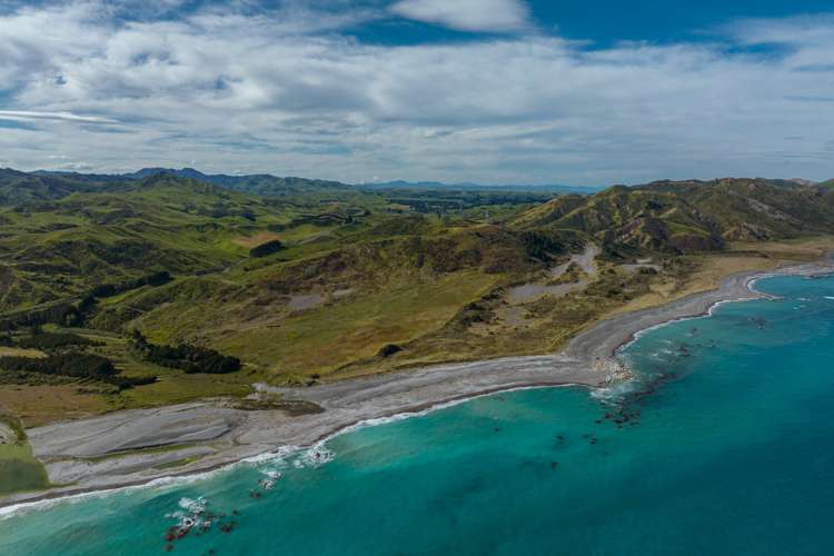 7797 State Highway 1 Ward_7