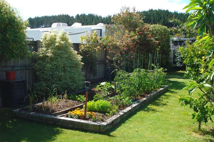 29 Captain Wood Avenue Whitianga_24