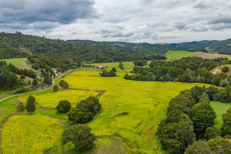 66 O'Neill Road Whakapara_2