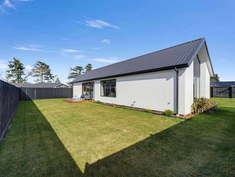 12 Jag Way Tinwald_30