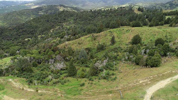 213 Matawherohia Road Kaeo_7