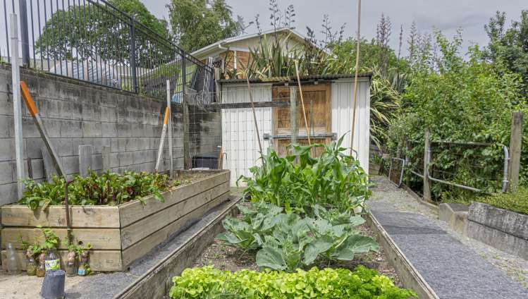 19a Parr Street Frankton_6