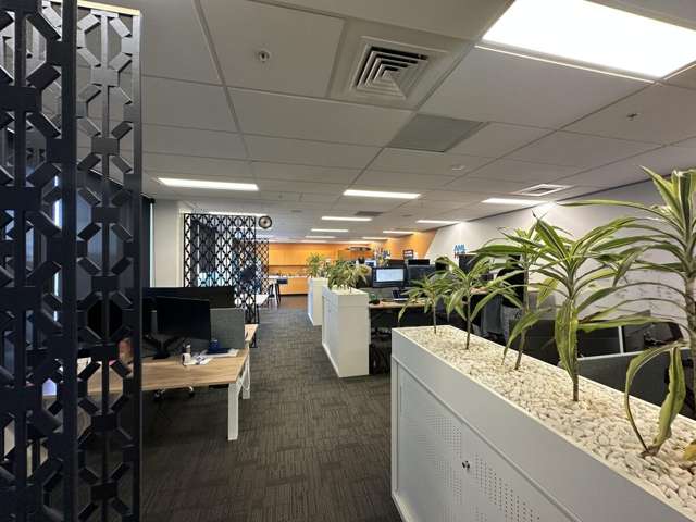 103 Carlton Gore Road Newmarket_2