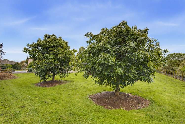 53 Pohutukawa Drive Levin_38