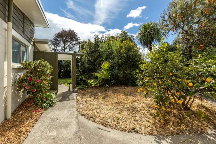 25 Brydon Street Renwick_8