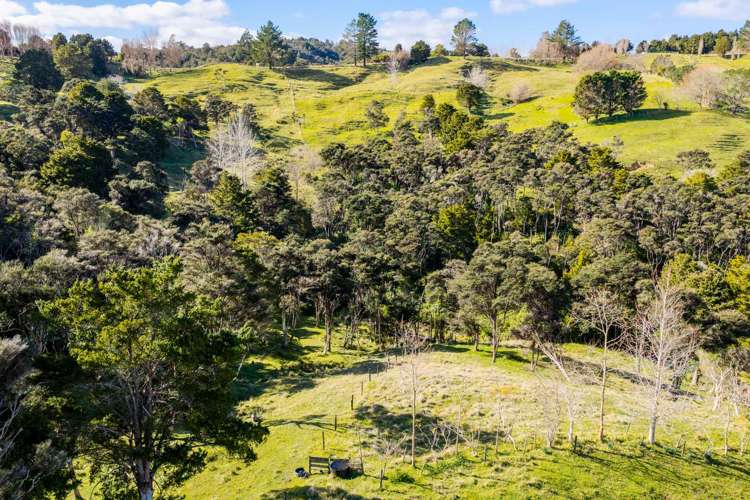 318 Franklin Road Paparoa_45