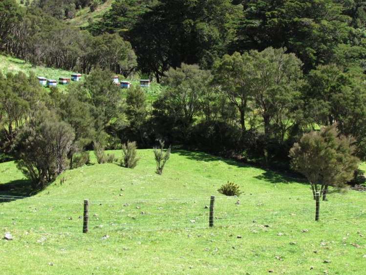 Mangatarere Valley Road Carterton_2