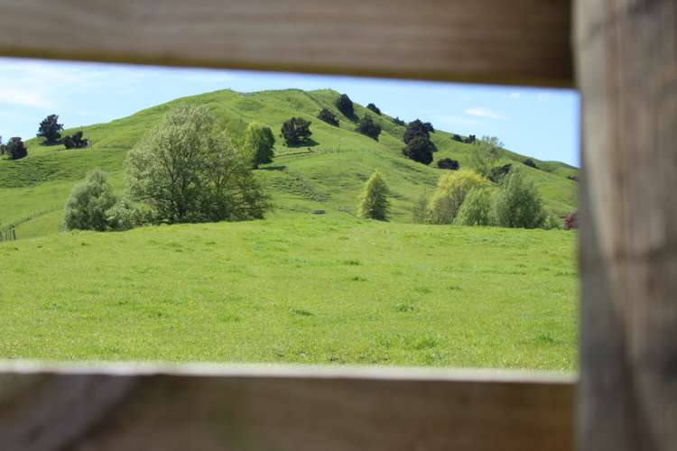 235 Echolands Road Taumarunui_24