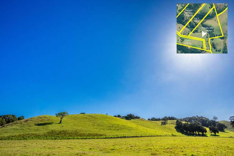 Telfer Road Parua Bay_27