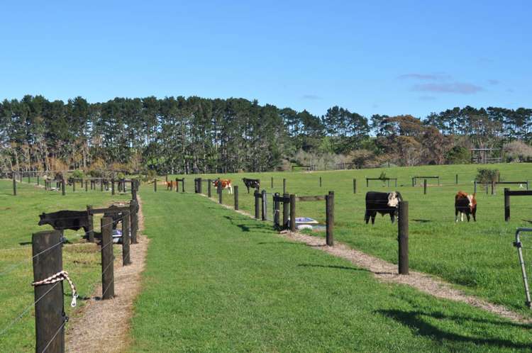 96 Westhead Road Waiuku_29