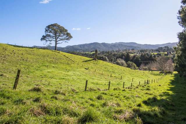 263 Hot Springs Road Katikati_4