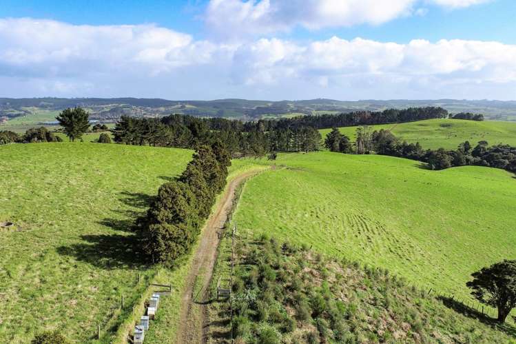 Kiwitahi Road Helensville_6