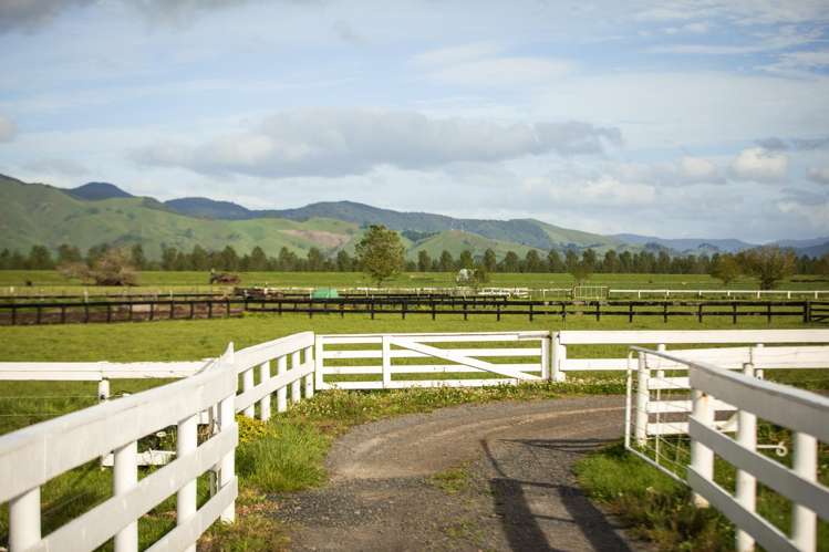 108 Old Netherton Rd Netherton Paeroa Paeroa_36