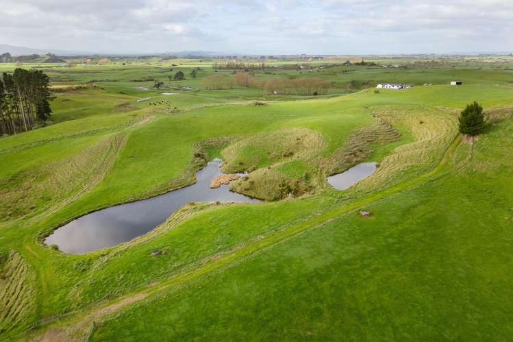 59 Jew Road Ngaruawahia_12