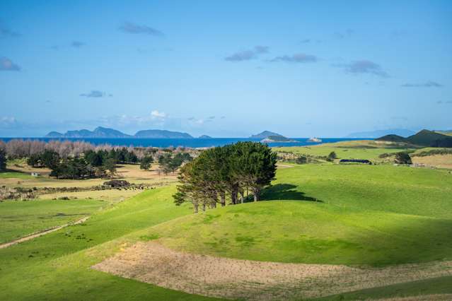 Lot 3 Blue Horizon Road Whangarei Heads_4