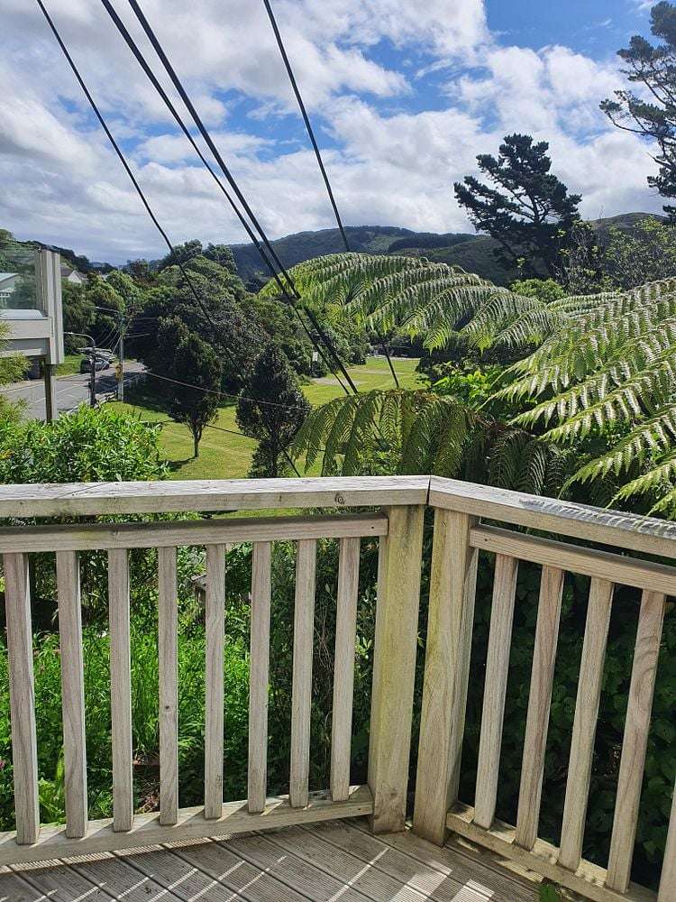43C Wilton Road Wadestown_15