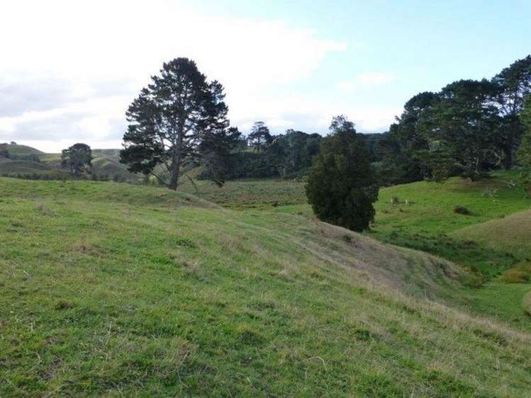 141b Oram Road Mercer_7