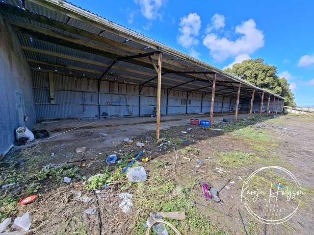 254 Galvin Road Ruawai_4