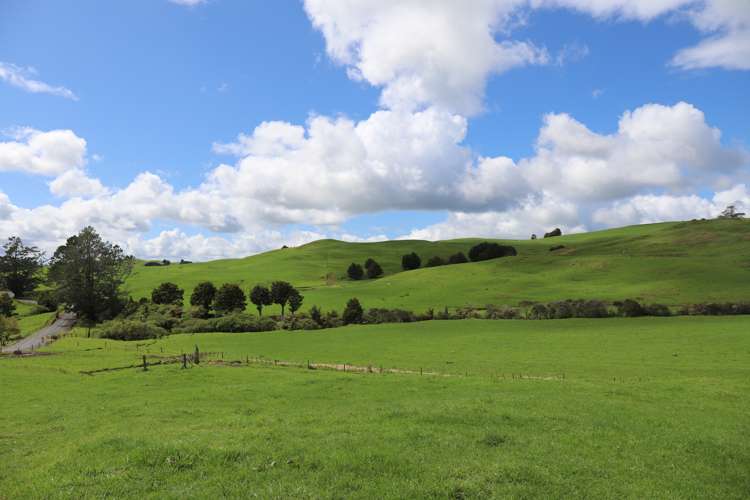 Inkster Road Maromaku_18