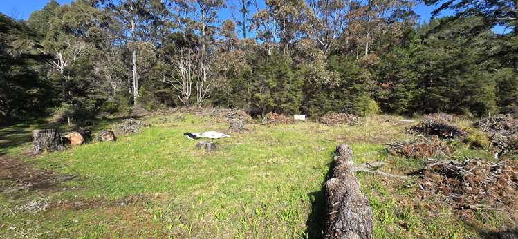 280 Hector Sanderson Road Great Barrier Island_5