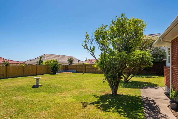 28 Mahoe Street Levin_18