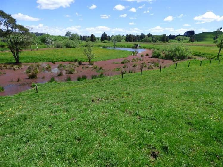 414 Kahuwera Road Te Kuiti_20