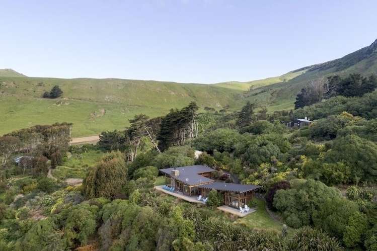 297 Cape Saunders Road Cape Saunders_11