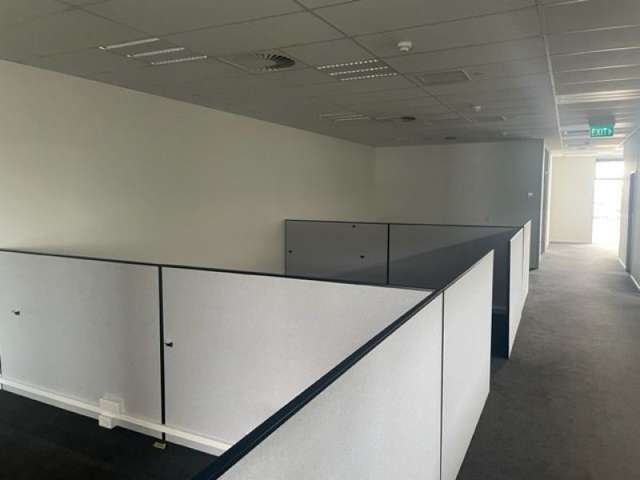 GF & L1/446 Colombo Street Sydenham_4