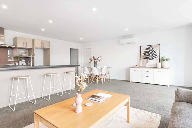 16 Millar Street Sydenham_5