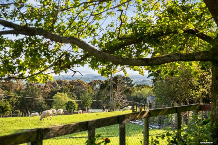 287 Wairamarama Onewhero Road Onewhero_6