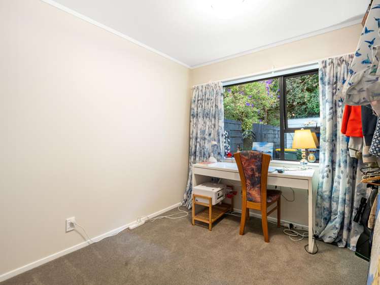 313 Youngson Road Whakamarama_13