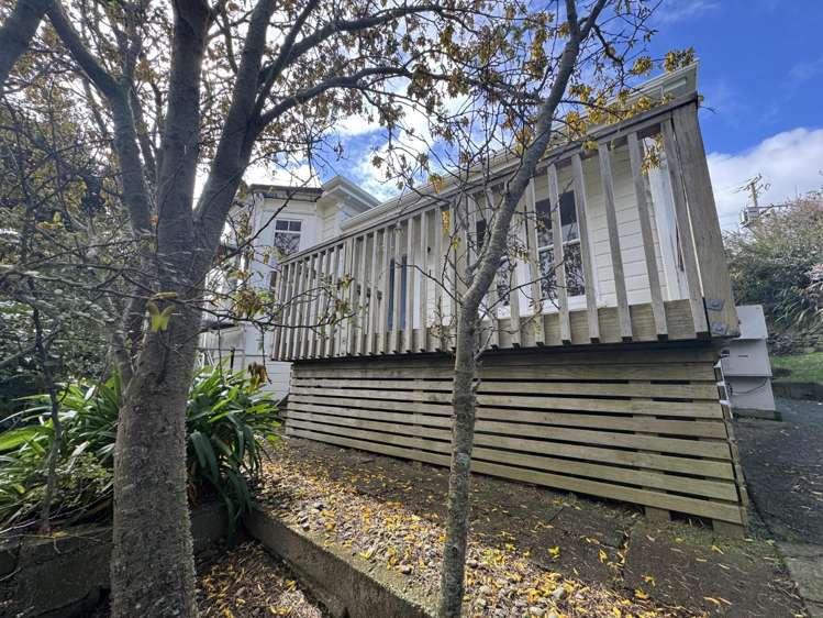  27 Tawa Terrace Tawa_24