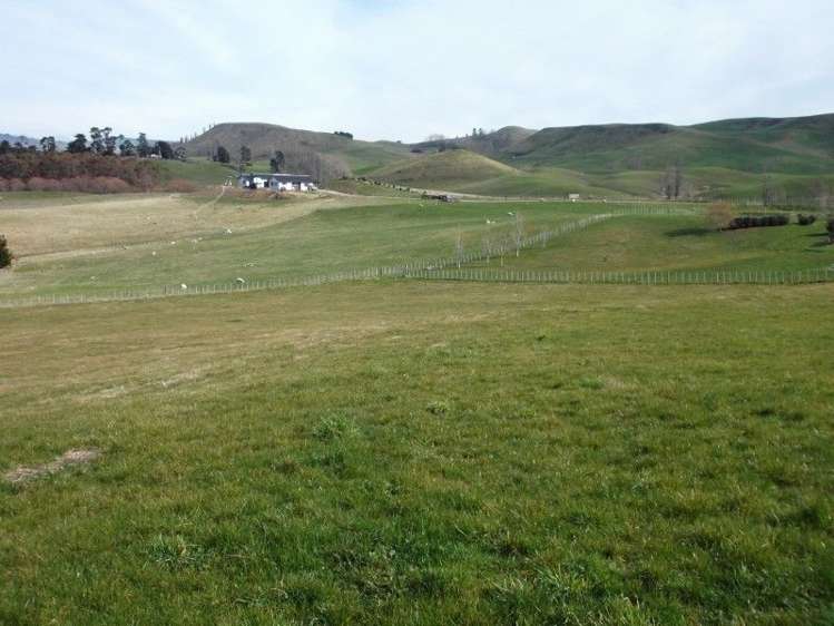 27 Jg Wilson Drive Waipukurau and Surrounds_12