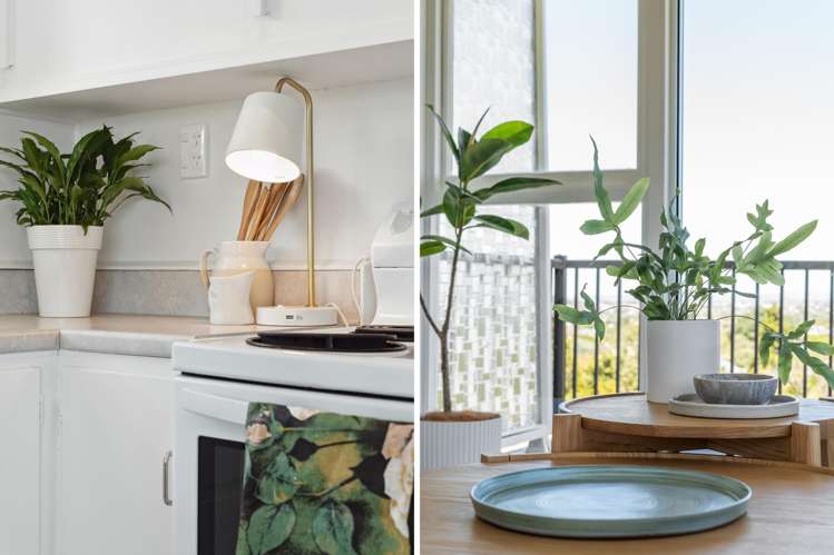 10/5 Bourne Street Mount Eden_10