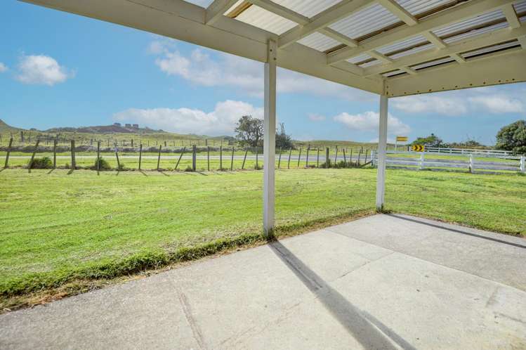 4 Coleman Avenue Waverley_12