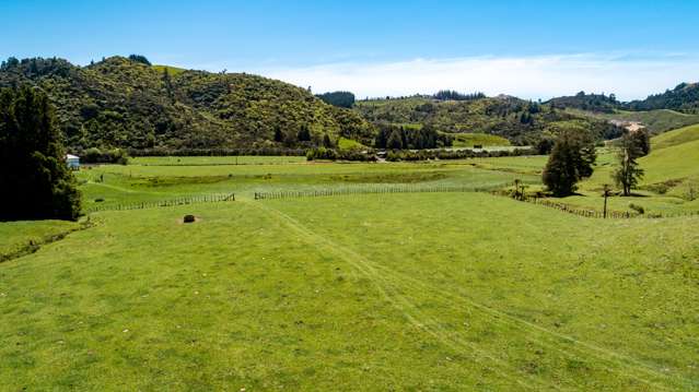 375 Kaimarama Road Kaimarama_3