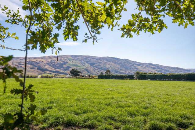 11 Marsh Road Ettrick_4