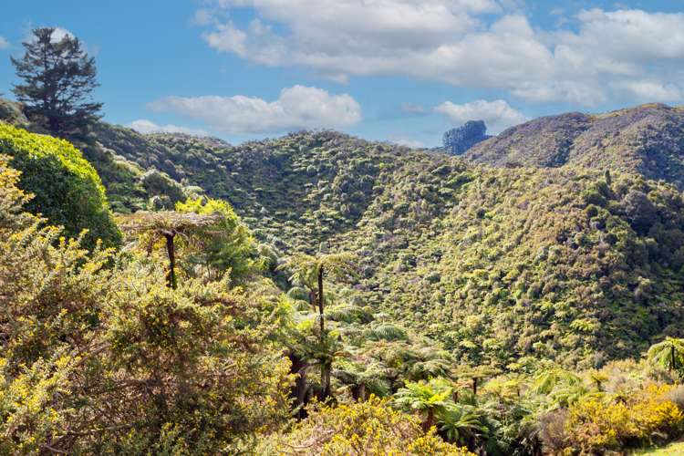 1304 Tokomaru East Road Brunswick_5