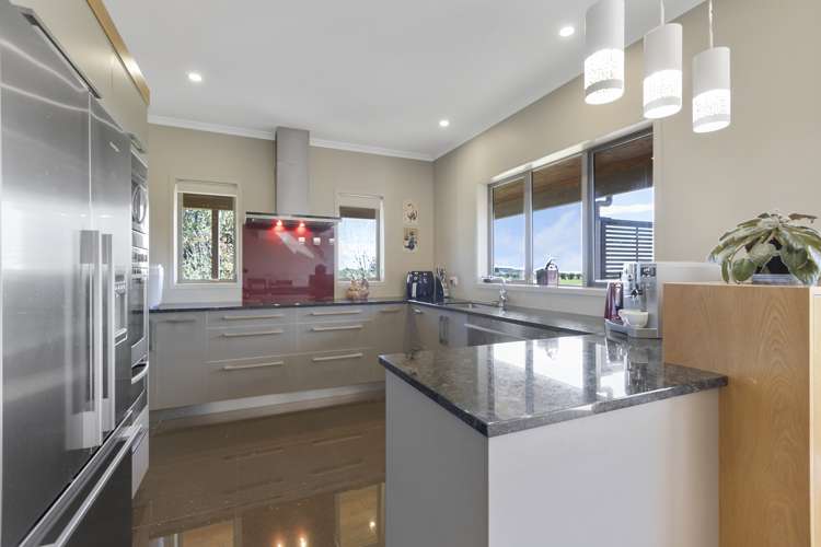 8 Pitt Road Hillsborough_6