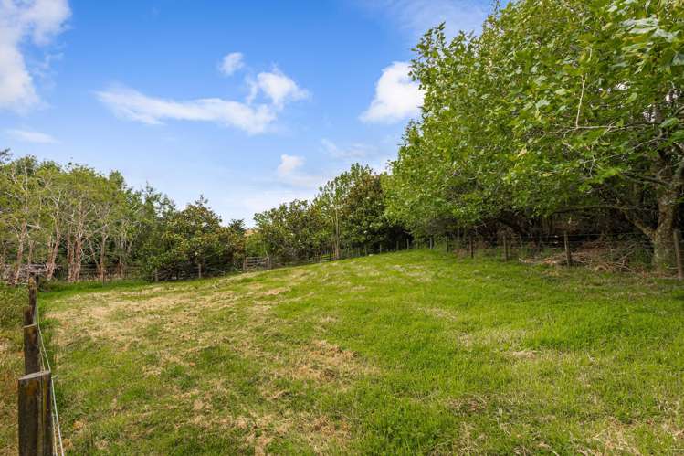 305 Rapson Road Kaukapakapa_18