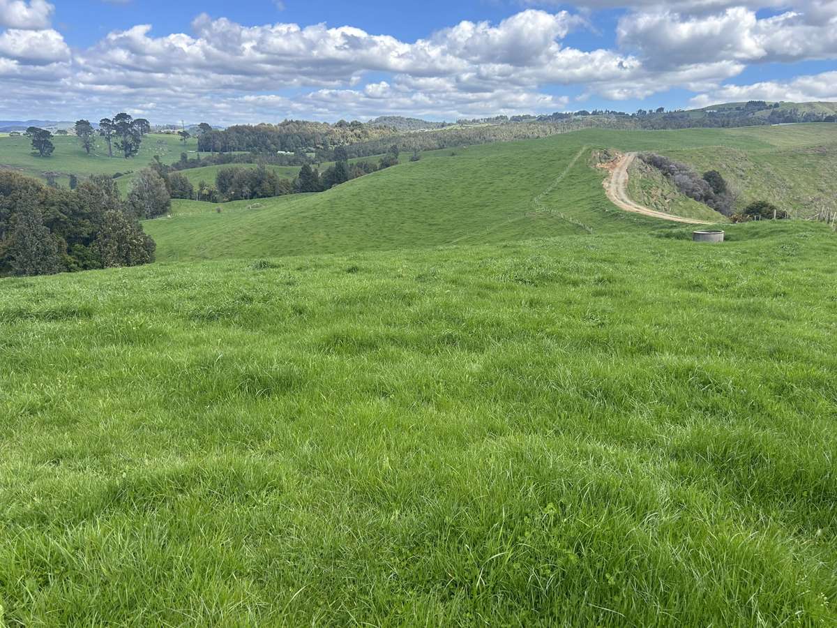 870 Mangati Road_3