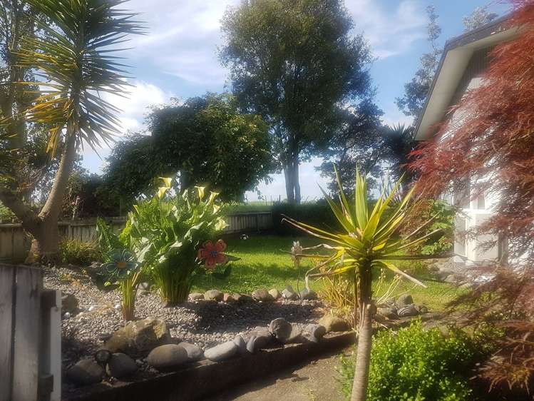 64 Oliver Street Kihikihi_2