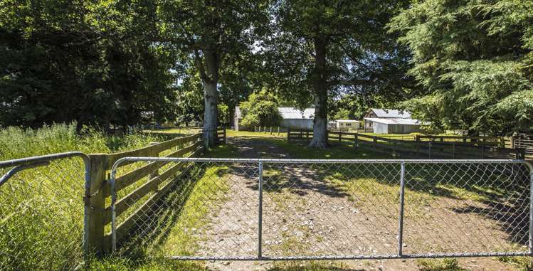 541 Beaconsfield Road Pareora West_6