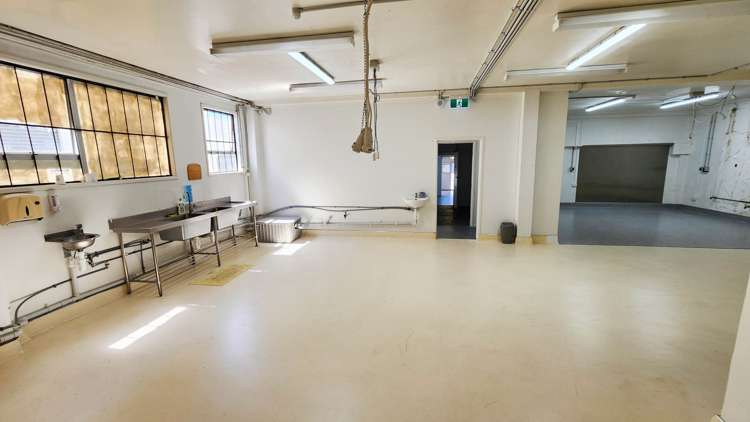 161-167 Apirana Avenue St Johns_5