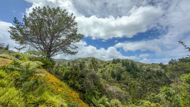 47 Otuturu Crescent Ruamahunga_9